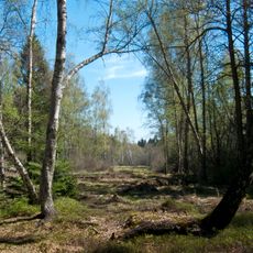 Skalské rašeliniště