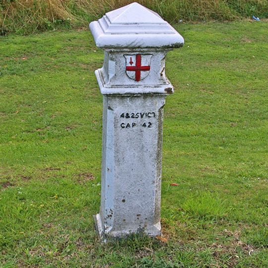 Coal Taxpost In Middle Of Leaves Green