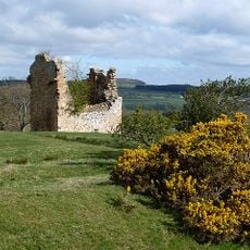 Timpendean,tower & earthwork