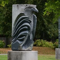 Adler