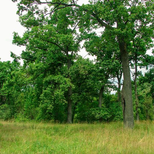 Rozvylka Protected Tract