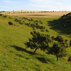 Aston Upthorpe Downs