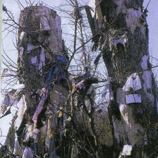 Clootie tree of Senarpont