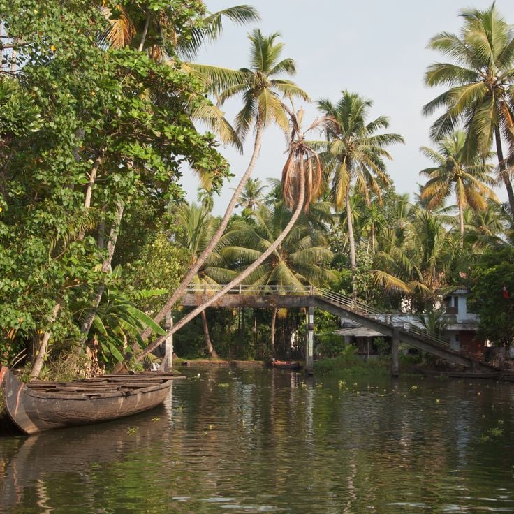 Kerala backwaters