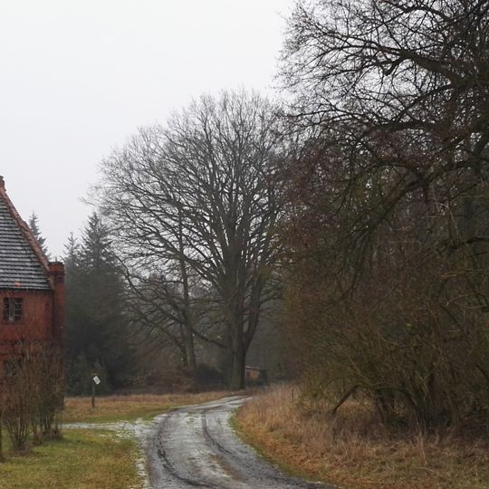 Naturdenkmal Gutslinde