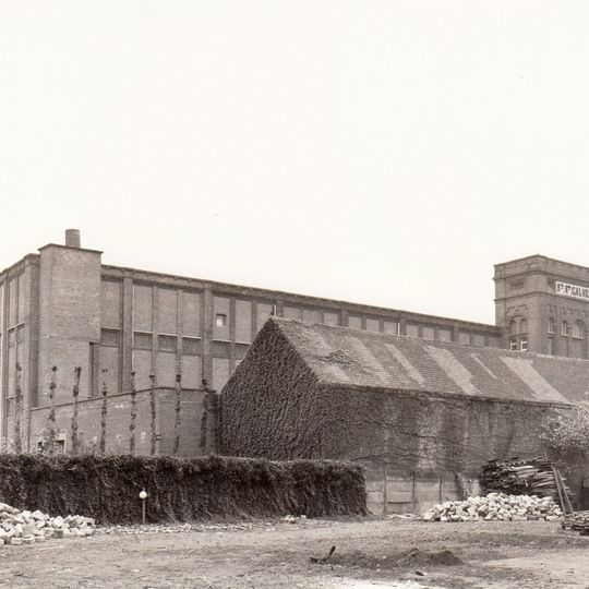Cotonnière Galveston