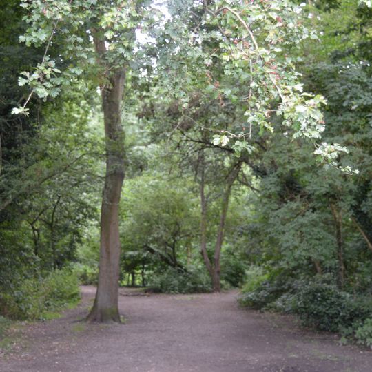 The Wick Local Nature Reserve