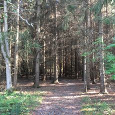 Black Creek Park