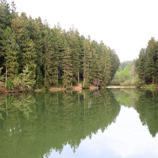 Mittlerer Grumbacher Teich