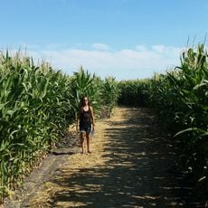 Labyrinthe des Volcans