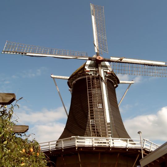 De Wijhese Molen