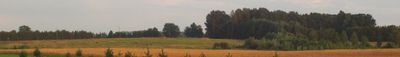 Panoramic View 0