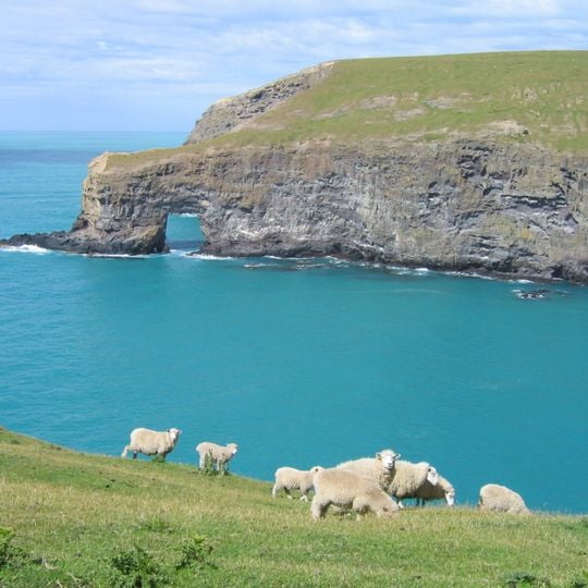 Banks Peninsula Track