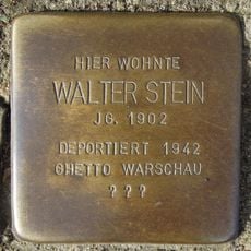 Walter Stein