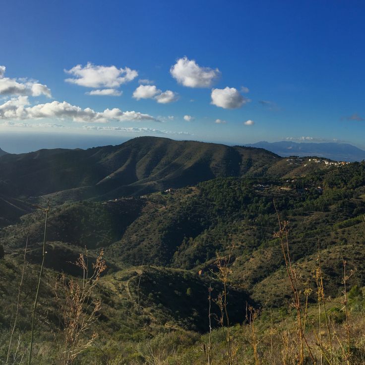 Parque Natural Montes de Málaga