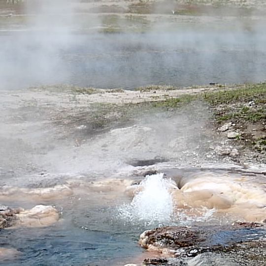 Young Hopeful Geyser
