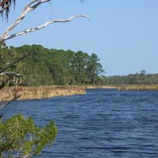 Bulow Creek State Park