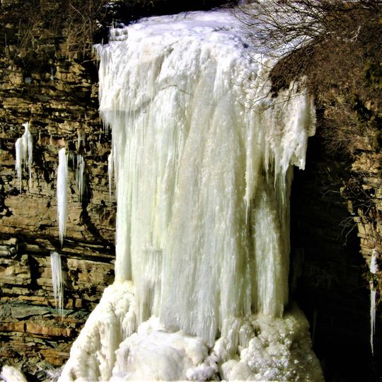 Borer's Falls Conservation Area
