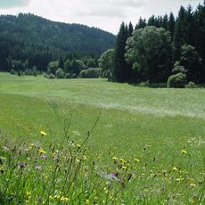 Tal der Kleinen Gusen