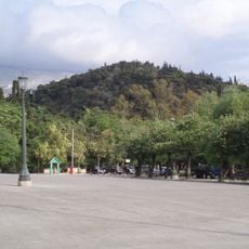 Ardettus