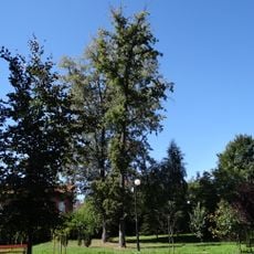 Park miejski
