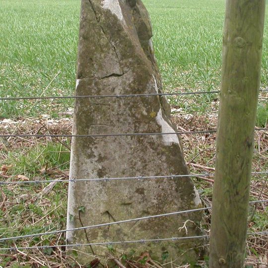 Milestone, Crouch's Down; 10m S current track on field boundary