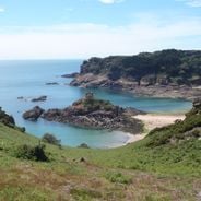 How to see Jersey : a map of the best observation points