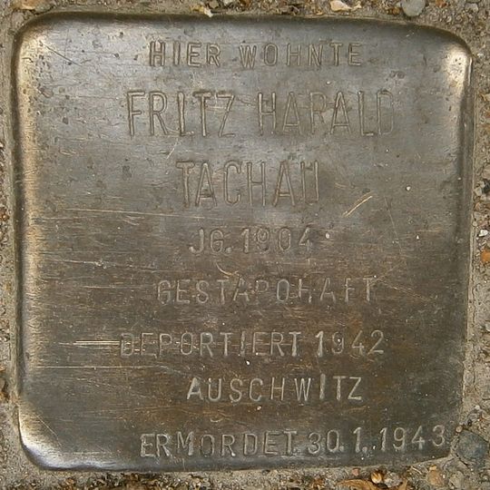Stolperstein dedicated to Fritz Harald Tachau