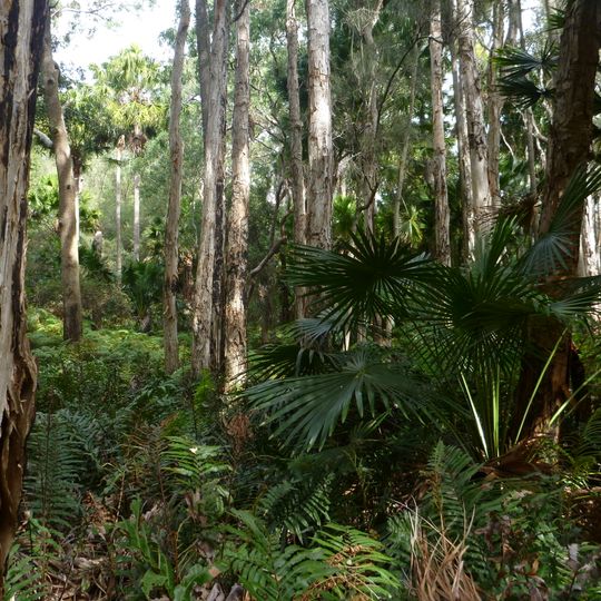 Wyrrabalong National Park