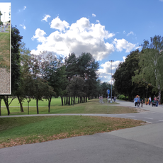 Žmogus-kankorėžis