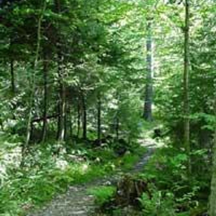 Area panoramica di Gaudineer