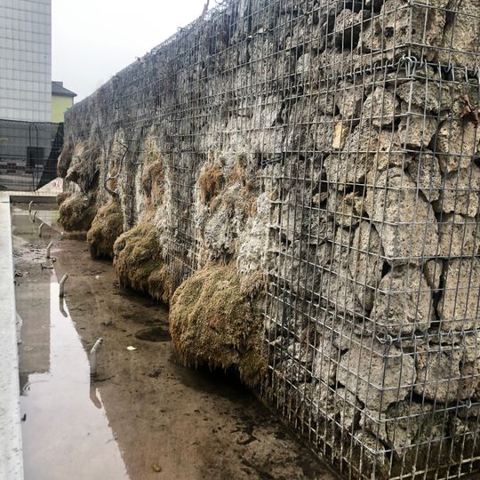 In front of Bahnhof Altstetten