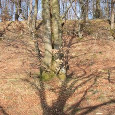 Burgstall Altes Haus (Pommelsbrunn)