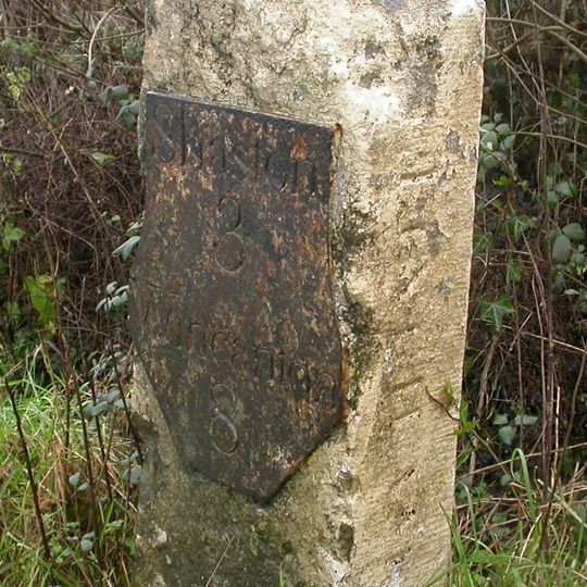Milestone, a mile SE of Gillingham; 115m W of small lay-by.