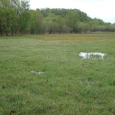 Kalk-Zwischenmoor Wendischhagen