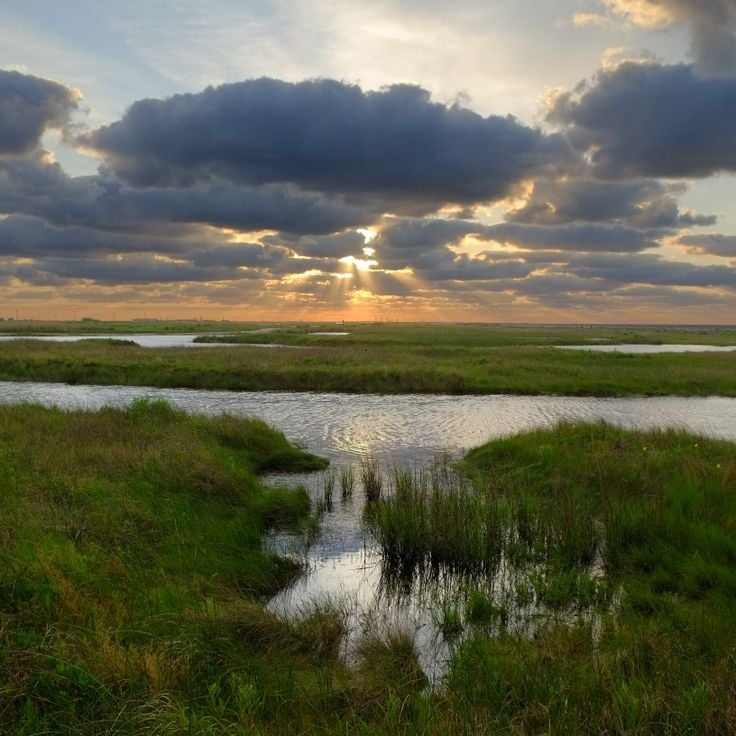 Sea Rim State Park