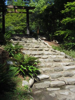 Alternatieve afbeelding