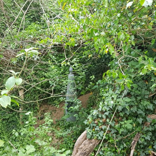 Belgium-Netherlands boundary stone no. 56