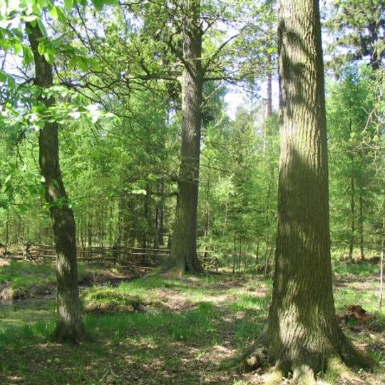 Rezerwat przyrody Pępowo