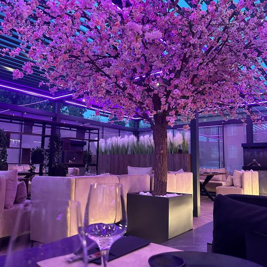 Madara Restauracja Japońska