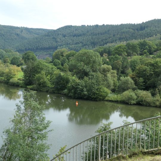 Weidenau von Hirschhorn