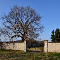 Jewish cemetery in Údlice