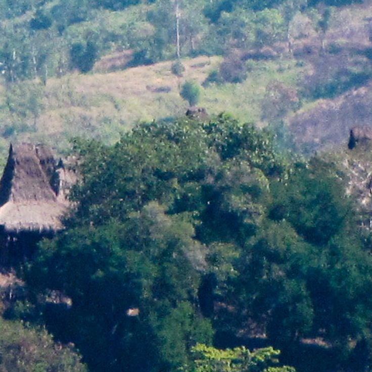 スンバ島