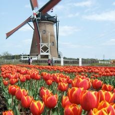 De Liefde