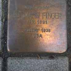 Hermann Finger