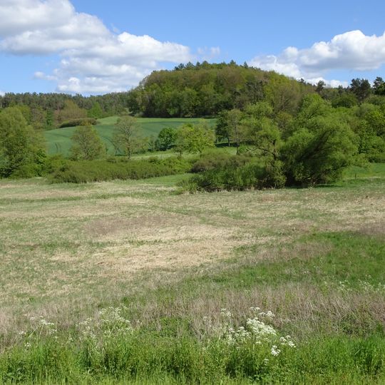 Sorgwiesen bei Weißenhasel
