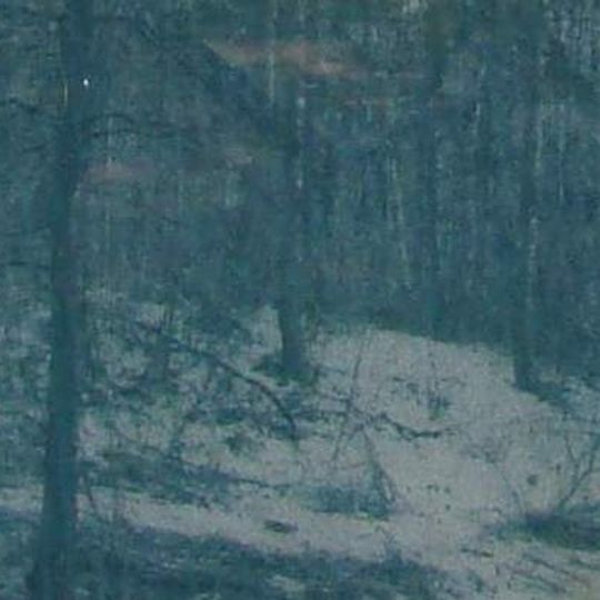 Terrein waarin resten van een grafheuvel