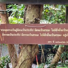 Wat Na Pa Phong