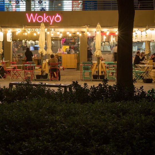 Wokyo Noodle Bar
