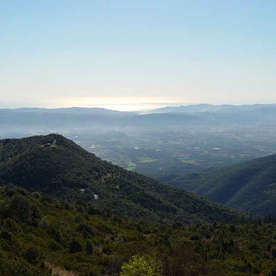 Turó de Sant Elies